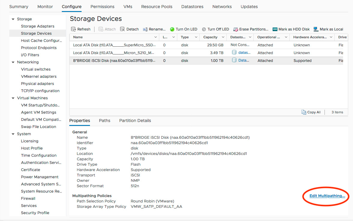 VMware screenshot showing where to find multipath settings